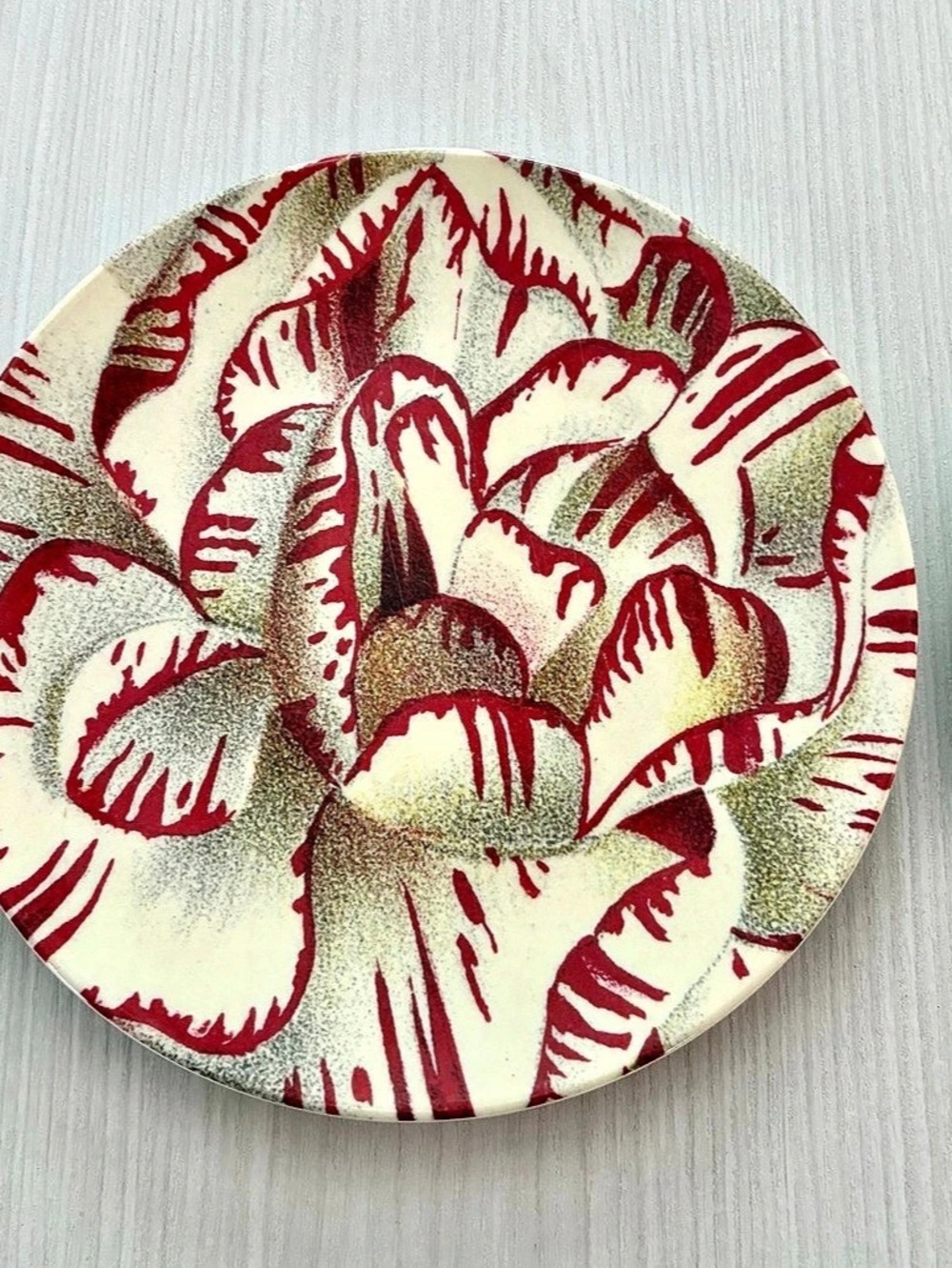 John Derian for Target Peony Melamine Salad Plates Cream & Red Set of 2